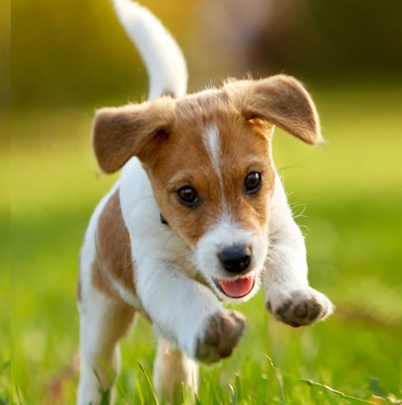 f88fe1545f30db047c35e92c29789fc1 f88fe1545f30db047c35e92c29789fc1